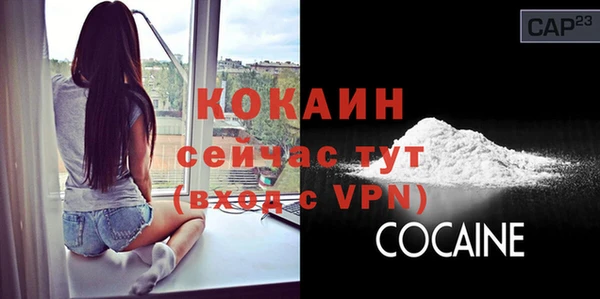 индика Баксан
