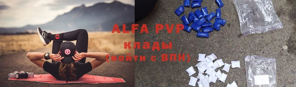 кокс Белокуриха