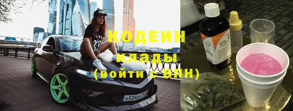 индика Баксан
