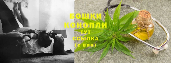 кокс Белокуриха