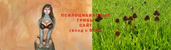 кокс Белокуриха