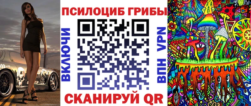 Псилоцибиновые грибы Psilocybe  Улан-Удэ 