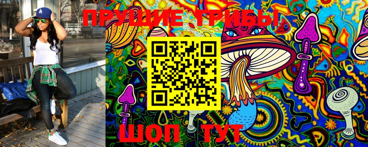 Псилоцибиновые грибы Cubensis Улан-Удэ