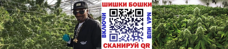 Каннабис сатива  где продают наркотики  Улан-Удэ 